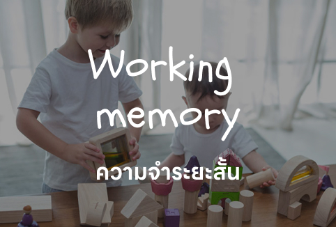 Working memory