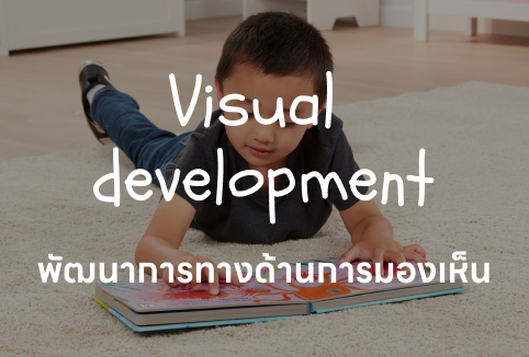 Visual development