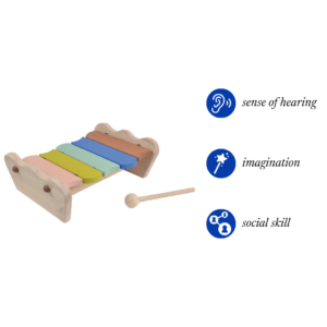 Scallop Xylophone (Colorful)